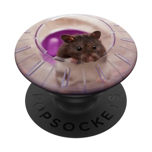 Hamster PopSockets PopGrip: Ausziehbarer Sockel und Griff für Handys/Tablets mit Tauschbarem Top PopSockets Klebender PopGrip von SodaPockets