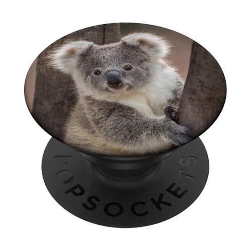 Koala - PopSockets Ausziehbarer Sockel und Griff für Smartphones und Tablets PopSockets Klebender PopGrip von SodaPockets