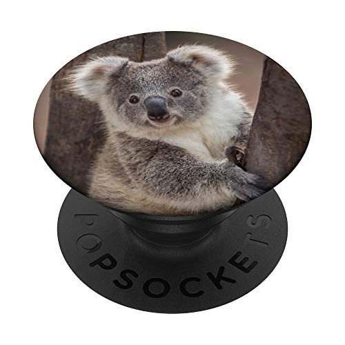 Koala - PopSockets Ausziehbarer Sockel und Griff für Smartphones und Tablets von SodaPockets