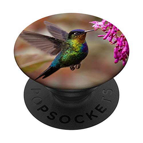 Kolibri PopSockets PopGrip: Ausziehbarer Sockel und Griff für Handys/Tablets mit Tauschbarem Top von SodaPockets
