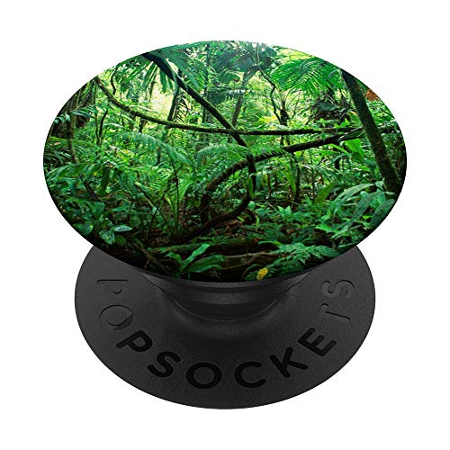 Urwald - PopSockets Ausziehbarer Sockel und Griff für Smartphones und Tablets von SodaPockets