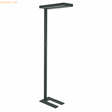 Soennecken Stehleuchte LED anthrazit von Soennecken