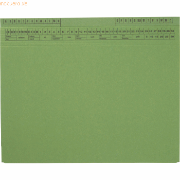 Soldan Hängehefter CLASSIC 1417808 grün von Soldan