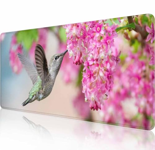 Schreibtischunterlage mit Kolibri mit rosa Blumen, großes Mauspad, Gaming-Mauspad, erweitertes XXL-Tastatur-Pad, 80 x 29 cm, Laptop, Computer, Maus, Tastatur, Matte für Büro, Schreibtischdekoration von Solekla