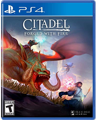 Citadel: Forged With Fire (輸入版:北米) - PS4 von Solutions 2 Go