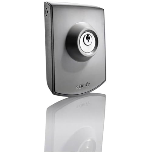 Somfy 2400597 -Schlüsseltaster Aufputz zur Bedienung von Torantrieben, grau, Silber von Somfy