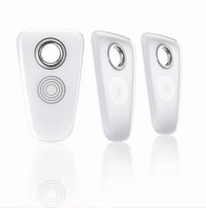 Somfy Schlüsselanhänger 2401402 (VE3) von Somfy
