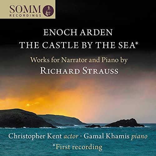 Enoch Arden, The Castle by the Sea von Somm (Naxos Deutschland Musik & Video Vertriebs-)