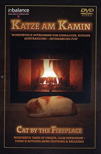 Katze am Kamin von Sonia