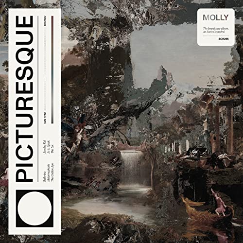 Picturesque [Vinyl LP] von Sonic Cathedral