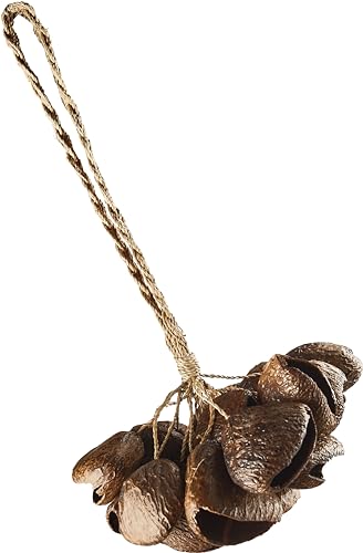 Sonic Energy Pangi Nussschalen Shaker – Ca. 21 cm – Soundeffekt-Instrument für Therapie und Percussion – Mit Handgelenkband (SPGRS) von Sonic Energy