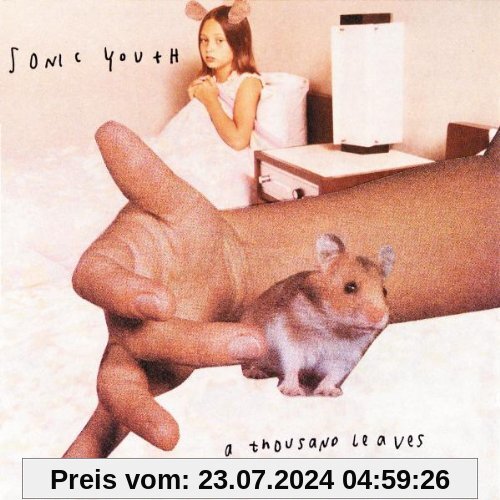 A Thousand Leaves von Sonic Youth