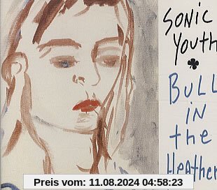 Bull in the Heather von Sonic Youth