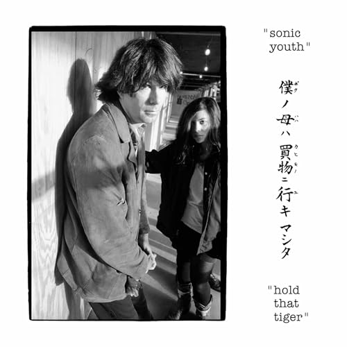 Hold That Tiger [VINYL] [Vinyl LP] von Sonic Youth
