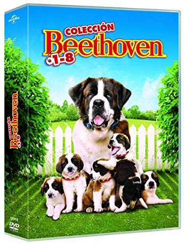 Beethoven 1-8 - DVD von Sony (Universal)