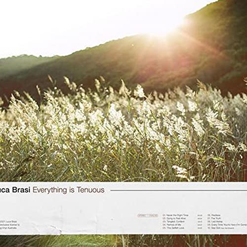 Everything Is Tenuous [Oxblood Colored Vinyl] [Vinyl LP] von Sony Australia