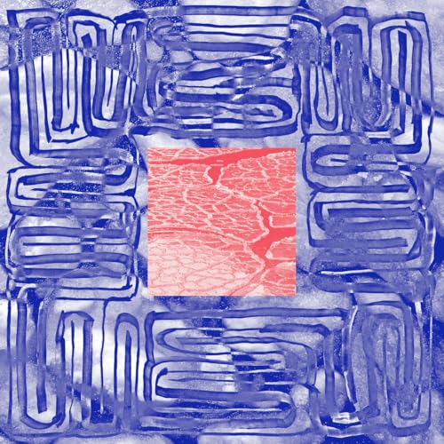 Albedo / Parhelie [Vinyl LP] von Sony Import