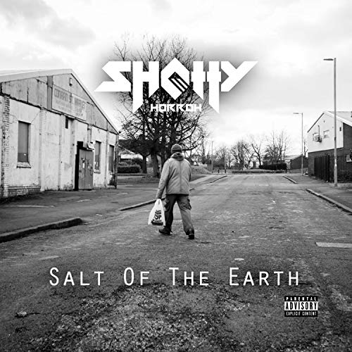 Salt Of The Earth [Vinyl LP] von Sony Import