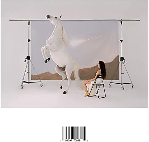 Sanacion -Ep- [Vinyl LP] von Sony Import
