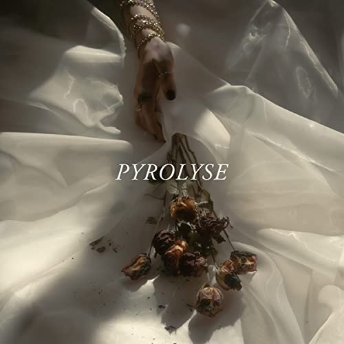 Pyrolyse [Vinyl LP] von Sony Music (Sony Music)