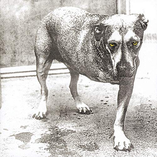 Alice In Chains Alice In Chains von Sony Music Cmg