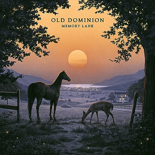 Memory Lane [Vinyl LP] von Sony Music Nashville