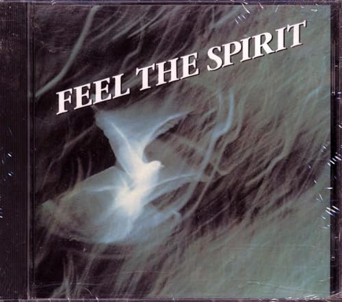 Feel the Spirit Feel the Spirit von Sony Music Special Products