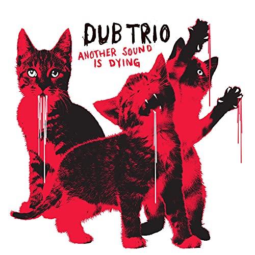 Another Sound Is Dying Another Sound Is Dying von DUB TRIO