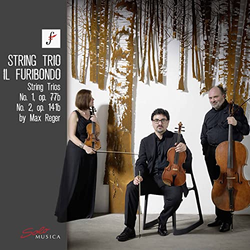 Reger: String Trios, Op. 77b & Op. 141b von Sony Music