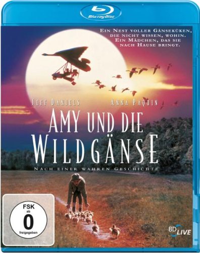 Amy und die Wildgänse [Blu-ray] von Sony Pictures Home Entertainment