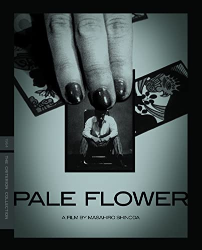 Pale Flower (1964) (Criterion Collection) UK Only - Original title: Kawaita hana [Blu-ray] [2021] von Spirit Entertainment