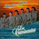 Baraja Adicta [Musikkassette] von Sony U.S. Latin