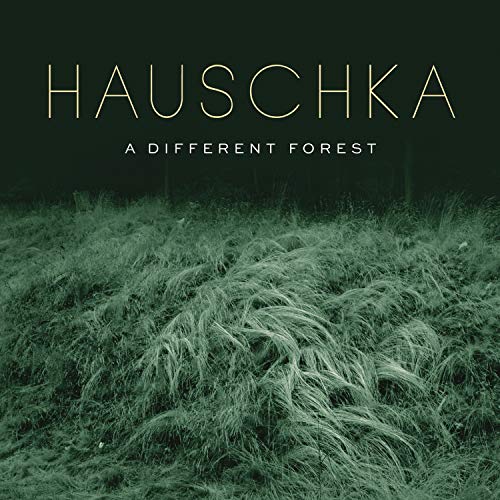 A Different Forest [Vinyl LP] von Sony