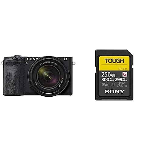 Sony Alpha 6700 | APS-C Spiegellose Systemkamera mit 16-50mm (KI-basierter Autofokus, 5-Achsen-Bildstabilisierung) + Speicherkarte SFG256T von Sony