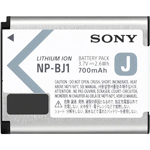 Sony NP-BJ1 Akku-Set (geeignet für DSC-RX0) von Sony