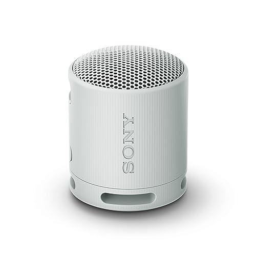 Sony SRS-XB100 - Kabelloser Bluetooth-Lautsprecher, tragbar, leicht, kompakt, Outdoor, Reise-Lautsprecher, langlebig, IP67 Wasser- und staubdicht, 16 Std Akku, Trageriemen, Freisprechfunktion, grau von Sony