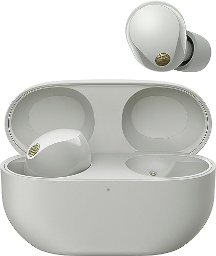Sony WF-1000XM5 Kabellose Noise Cancelling Kopfhörer, Bluetooth, In-Ear-Kopfhörer, Mikrofon, bis zu 24 Stunden Akkulaufzeit, Schnellladefunktion, IPX4, iOS & Android kompatibel - Silber, klein von Sony