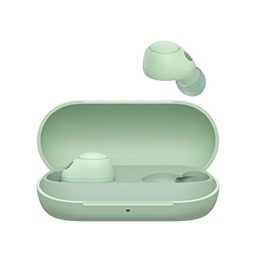 Sony WF-C700N kabellos, Bluetooth, Noise Cancelling Kopfhörer (kleine, leichte Kopfhörer mit Bluetooth Multipoint Connection, IPX4, bis zu 20h Akkulaufzeit, Schnellladung, iOS & Android) Salbeigrün von Sony