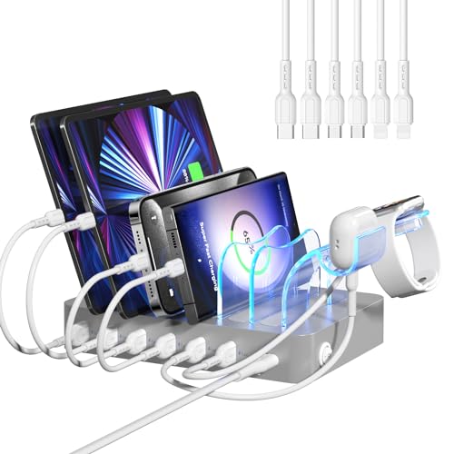 SooPii Ladestation für mehrere Geräte, 50W 6-Port Multi-USB-Ladestation mit 2-in-1 i-Watch-Ladehalterung und 6 Ladekabeln, entworfen für iPad, Mobiltelefone, Tablets und andere (Silber) von SooPii