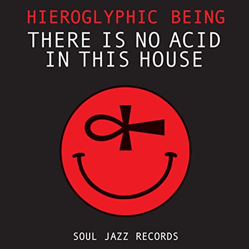 There Is No Acid in This House [Vinyl LP] von Soul Jazz Indigo