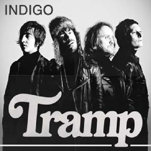 7-Indigo 7-Indigo von Sound Pollution