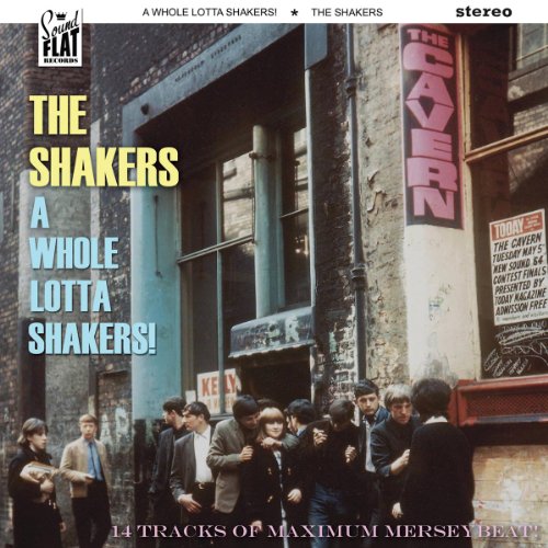 A Whole Lotta Shakers [Vinyl LP] von Soundflat (Broken Silence)