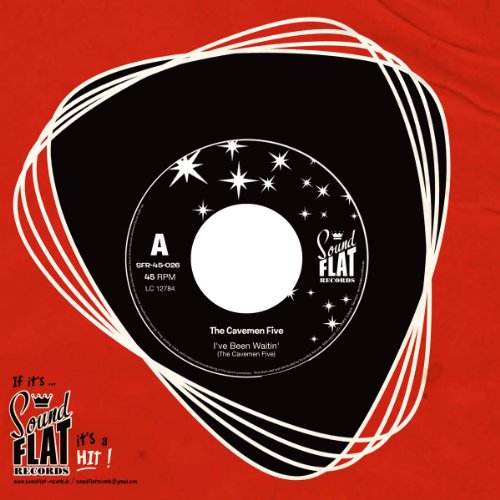 I've Been Waitin' [Vinyl Single] von Soundflat (Broken Silence)