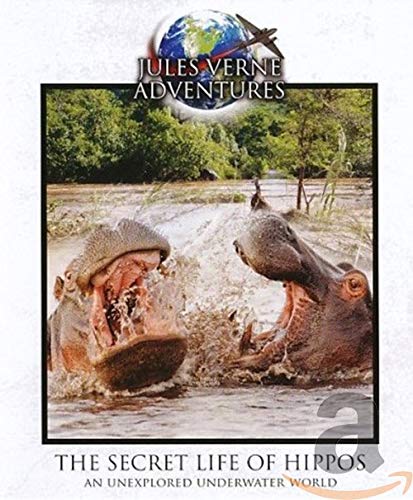 BLU-RAY - Jules Verne - The secret life of hippos (1 Blu-ray) von Source 1 Media