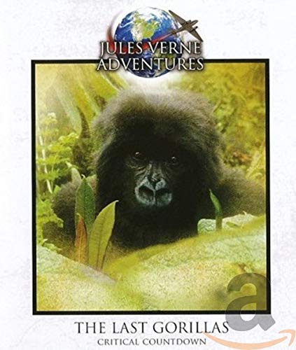 The Last Gorillas - Blu-ray von Source 1 Media