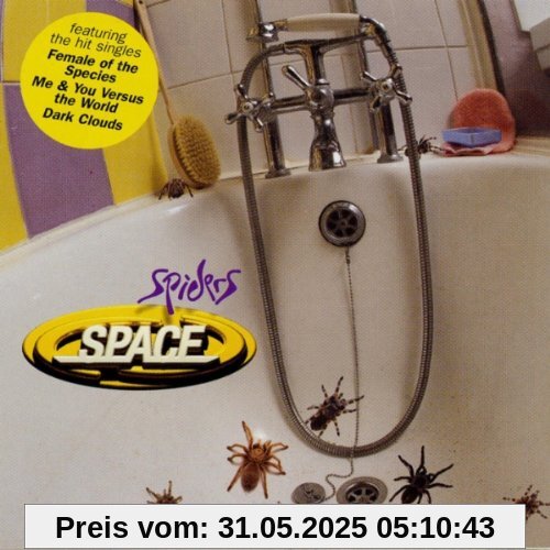 Spiders von Space