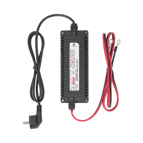 Intelligentes Lithium-Batterieladegerät für LiFePO4 und LiMn2O4, 29,2 V 10 A AC zu DC, Wasserdichtes Batterieladegerät mit Mehreren Schutzfunktionen (EU-Stecker) von Spacnana