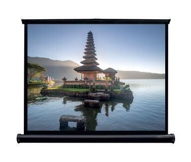 WS GR mobile Tischleinwand, 32" 4:3, 65x49cm, mattweiß BE/BL von Spalluto