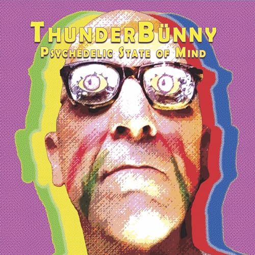 Psychedelic State of Mind, LP [Vinyl LP] von Spare Time Records