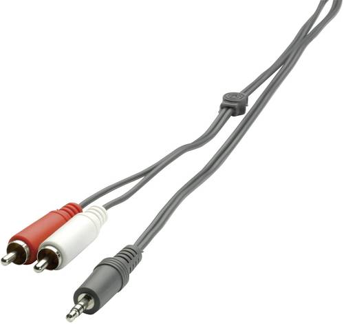 SpeaKa Professional SP-1300360 Cinch / Klinke Audio Anschlusskabel [2x Cinch-Stecker - 1x Klinkenste von SpeaKa Professional
